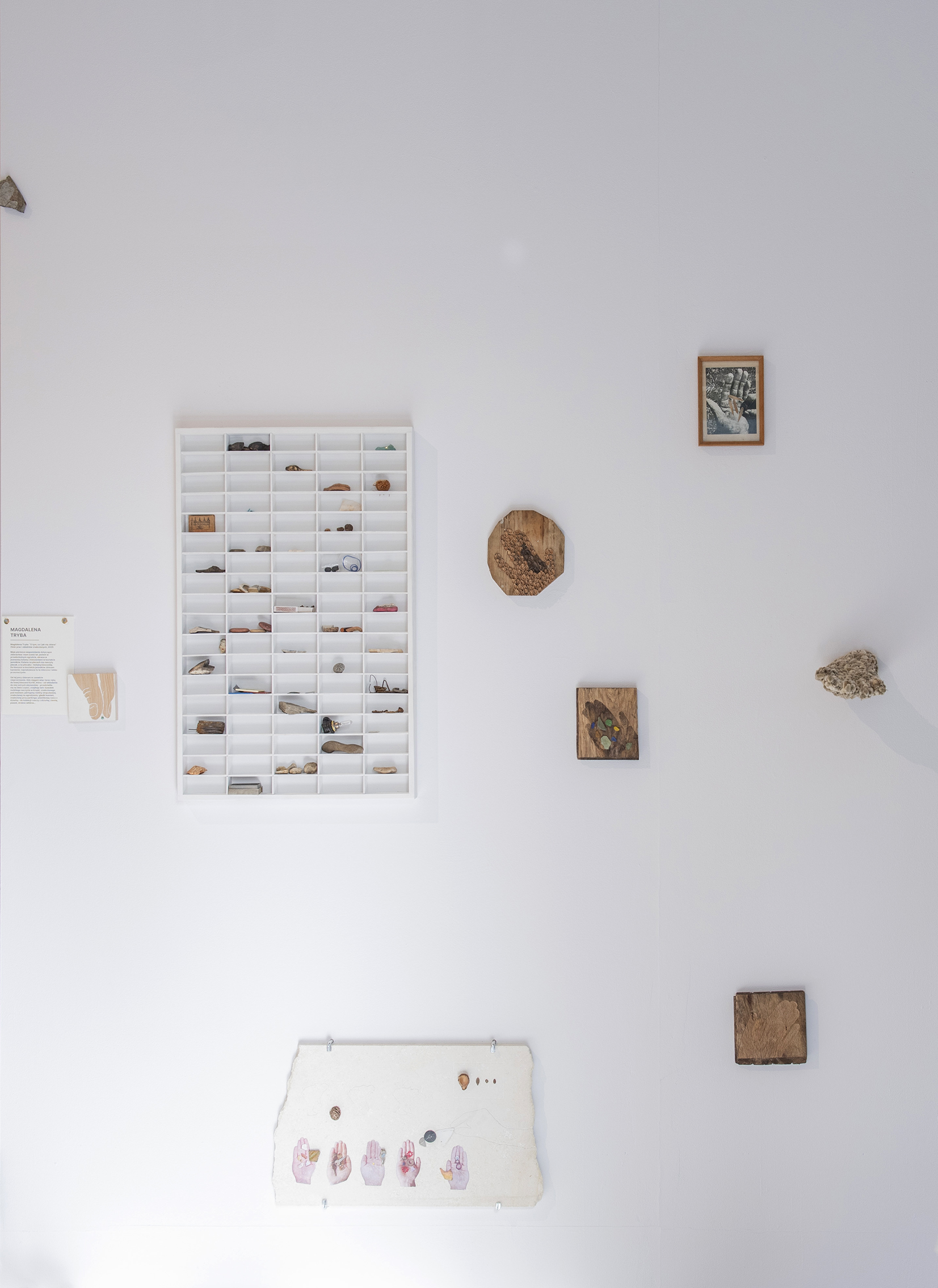 M_Tryba_Hoarding